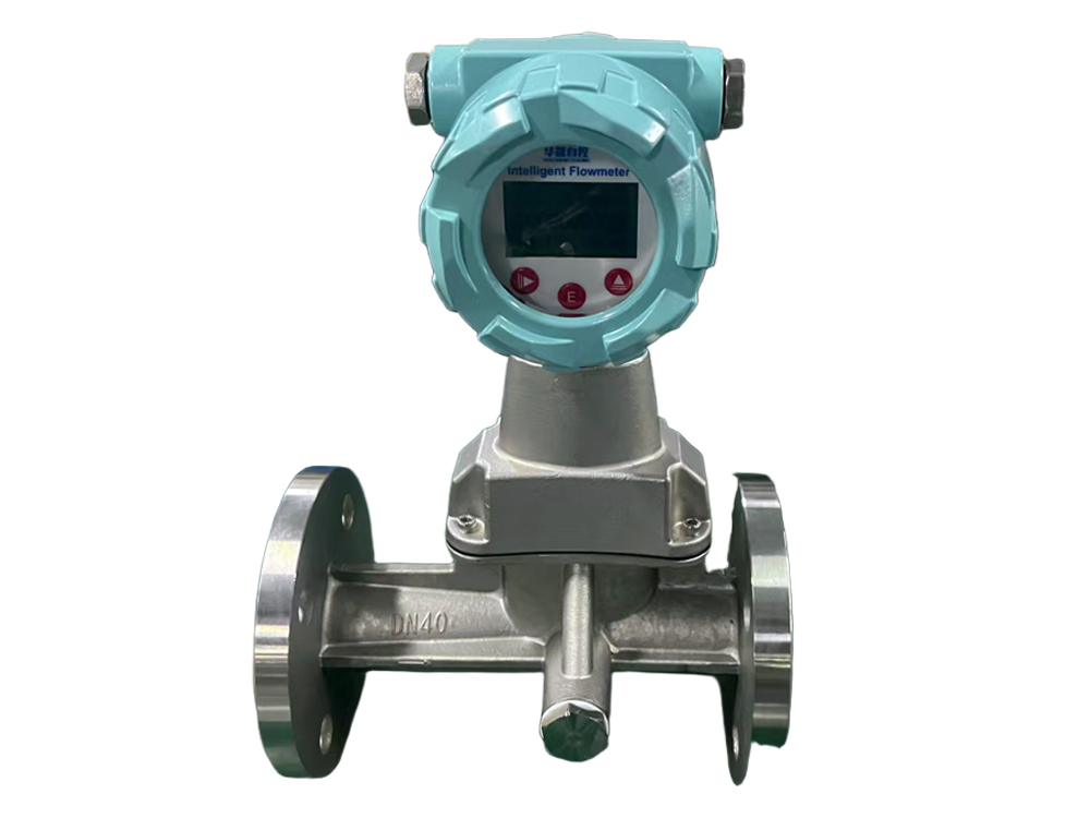 旋進(jìn)旋渦流量計